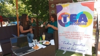 Octavo Programa Proyecto