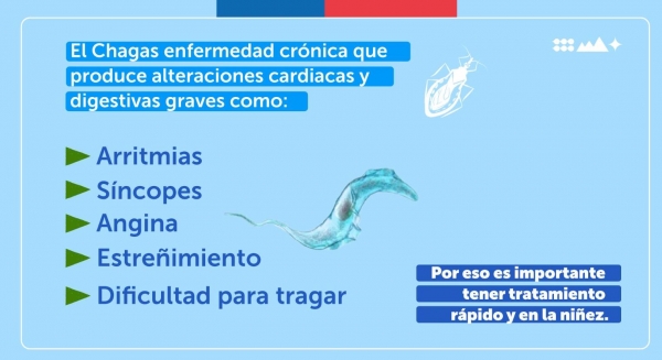 La #EnfermedadDeChagas