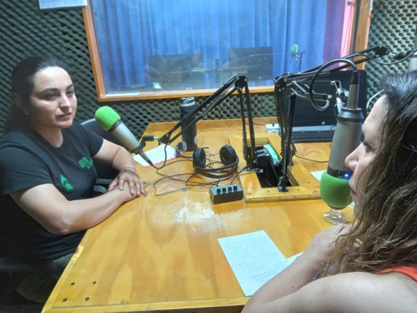 Septimo Programa Proyecto