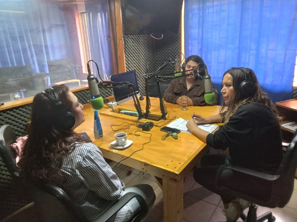 Septimo Programa Proyecto