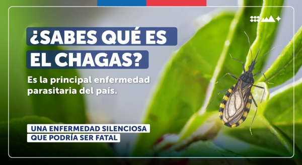 La #EnfermedadDeChagas